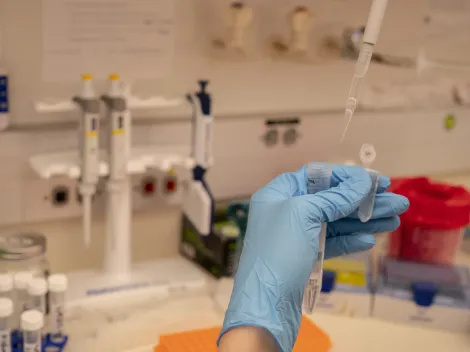 ¿Cuál es el origen del Covid-19? Revelan lo qué paso en Wuhan