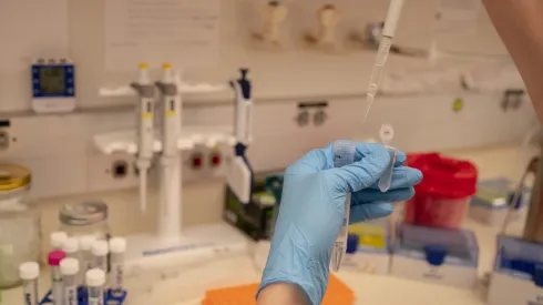 ¿Cuál es el origen del Covid-19? Revelan lo qué paso en Wuhan