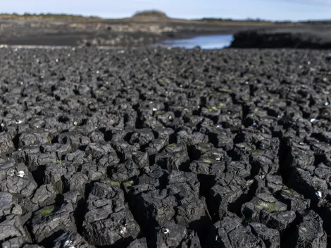 ¿Uruguay sin agua potable? El problema que afecta a los uruguayos