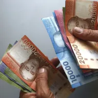 ¿Cuál es la fecha de pago del Subsidio Único Familiar?