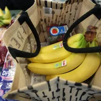 ¿Cuál es el monto por causante del Bolsillo Familiar Electrónico?