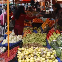 Consulta con tu RUT si aún no has cobrado el Bono Canasta Básica