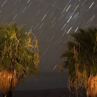 Qué es la Lluvia de estrellas Perseidas y cada cuánto tiempo pasan