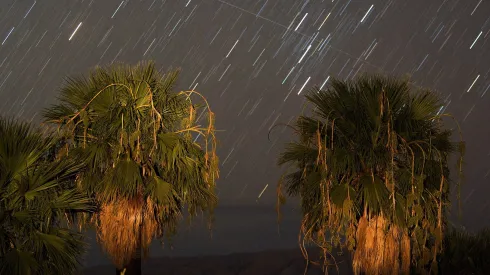 Perseid meteors fall as a satellite passes across the sky early