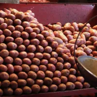 ¿Cuánto sube el precio de la papa y qué hará el Gobierno para evitarlo?
