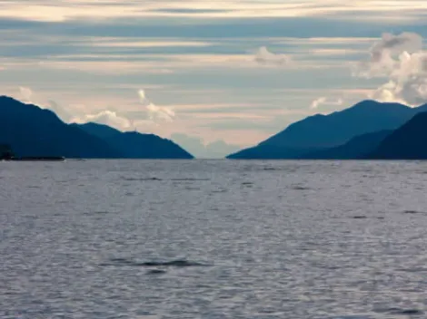 ¿Cómo será la operación de búsqueda más grande del monstruo del lago Ness?