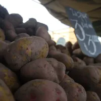Crece la demanda de papas argentinas: ¿Dónde se pueden comprar?