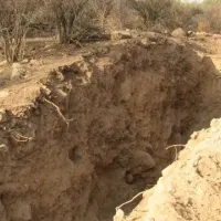 Estudio revela cómo sería terremoto generado en la Falla San Ramón