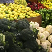 ¿Cuáles son los alimentos que suben y bajan de precio estos meses?
