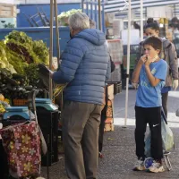 Consulta con tu RUT si te pagan el Bolsillo Electrónico Familiar