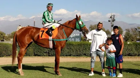 Arturo Vidal le puso precio a su haras Il Campione.