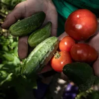 Estas son las recetas vegetarianas que puedes hacer en tu parrilla