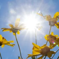 ¿Qué día comienza la primavera este 2023?