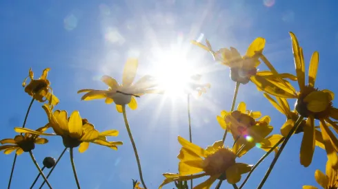 La Primavera está muy pronta a comenzar.