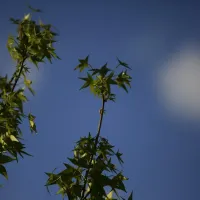 ¿Cuándo empieza el verano?