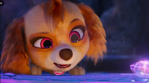 ¿En qué plataforma de streaming se encuentra disponible Paw Patrol?