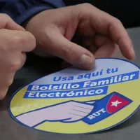 ¿Se postula al Bolsillo Electrónico Familiar? Así puedes recibirlo