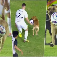 El perro Messi suspende partido en México: la rompe