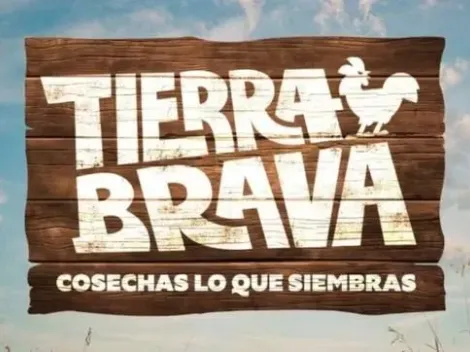 Así puedes ver Tierra Brava en vivo por streaming por Canal 13