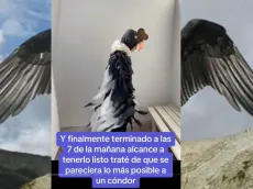 Mamá chilena se hace viral en TikTok por increíble disfraz que le hizo a su hijo