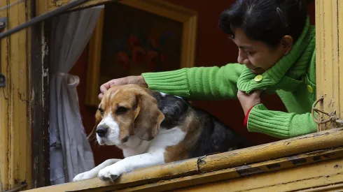 Una mujer y su mascota son fotografiadas observando desde una ventana.