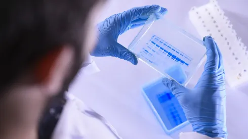 Químico farmacéutico