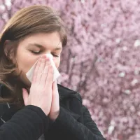 ¿Por qué ahora soy alérgico a la primavera si antes no lo era?