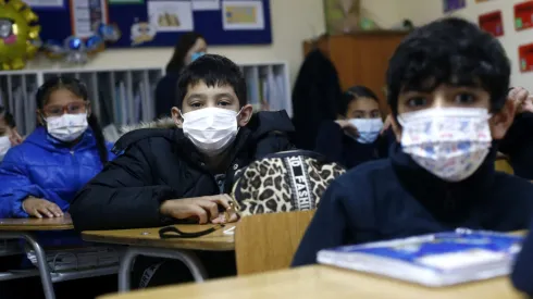 Resultados Sistema SAE 2024: ¿Cuándo empieza el periodo de matrícula?