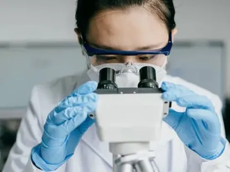 ¿Cuánto gana un biólogo marino en Chile?