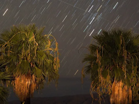 Lluvia de Leónidas: ¿Cuándo es y cómo verlas desde Chile?