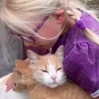 Tierno video viral de TikTok muestra a una gatita presentándole su gatito bebé a una niña