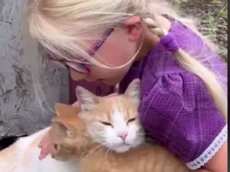 Viral video muestra una gata presentándole su gatito bebé a una niña