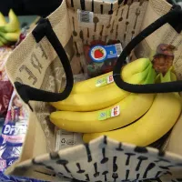 ¿Cuáles son los requisitos para recibir el Bolsillo Electrónico?