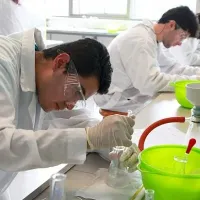 ¿Cuáles son las carreras universitarias con mejor y peor empleabilidad?