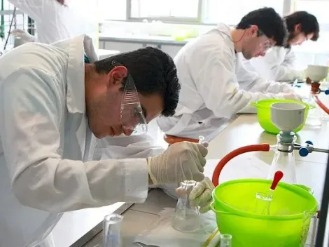 ¿Cuáles son las carreras universitarias con mejor y peor empleabilidad?