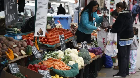 Consulta con tu RUT si recibes el Bolsillo Familiar Electrónico.