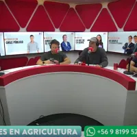 Guarello, Caamaño y Pato Yáñez destrozan el fútbol joven