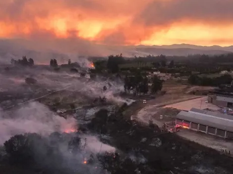 ¿Cómo castiga la ley a quienes inician incendios forestales en Chile?