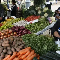 ¿Qué significa? INE elimina y también agrega alimentos a la canasta del IPC en Chile