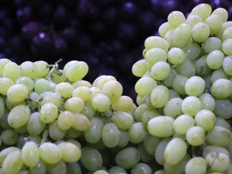 ¿Por qué se deben comer uvas en Año Nuevo? Esta es la explicación