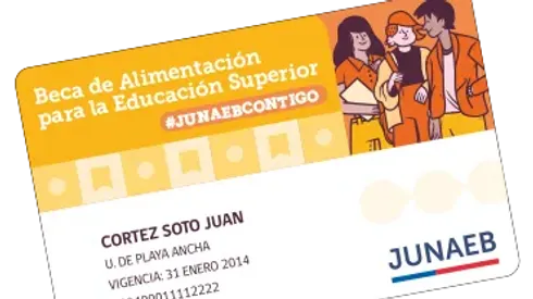 ¿Cuándo cargan la Junaeb en enero y febrero y a quiénes?
