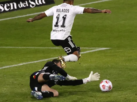 "El verdadero gato argentino": Batalla es presentado en Europa