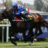 Escándalo inédito en la hípica salpica a Kike Morandé: suplantación  remece al Club Hípico