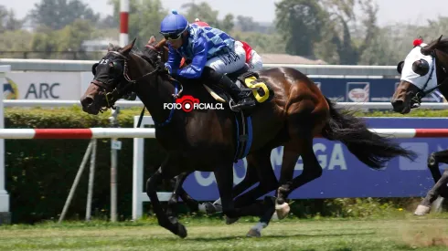 Escándalo en la hípica: la yegua Siete de Abril ganó, pero era otro ejemplar