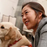 Corea del Sur termina con polémica práctica y prohibe el consumo de carne de perro