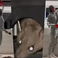 ¿A quién no le ha pasado? La batalla de Toni Kroos para sacar a un ratón de su casa