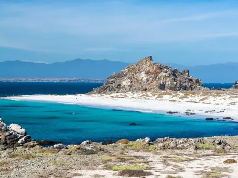 Lugares para ir de vacaciones: ¿Cómo llegar a Punta de Choros?