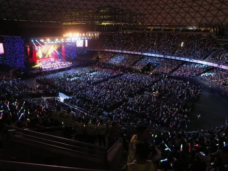 ¿Por qué suspendieron el evento solidario para los afectados por los incendios?