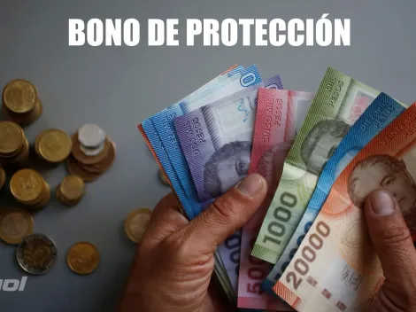 ¿Qué se sabe sobre el nuevo monto del Bono Dueña de Casa 2024?