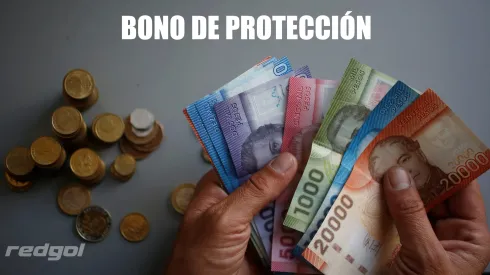 Bono de Protección 2024.